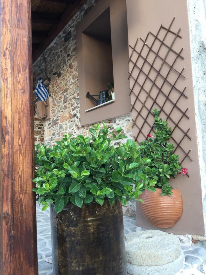 Areti'S Traditional House Apollona Exterior photo
